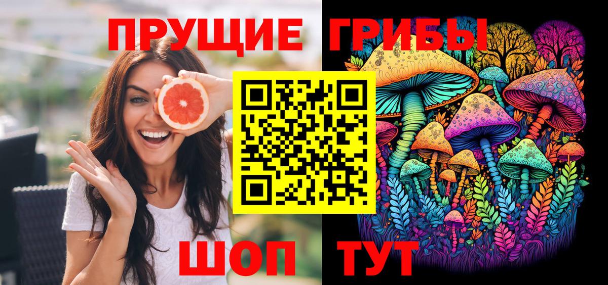 Избербаш  Псилоцибиновые грибы Psilocybe  Вход с VPN  Псилоцибиновые грибы прущие грибы 